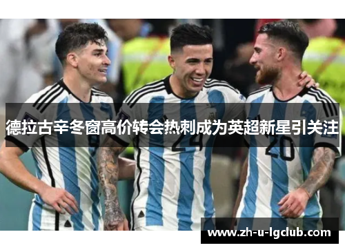 德拉古辛冬窗高价转会热刺成为英超新星引关注 德拉古辛冬窗高价转会热刺成为英超新星引关注